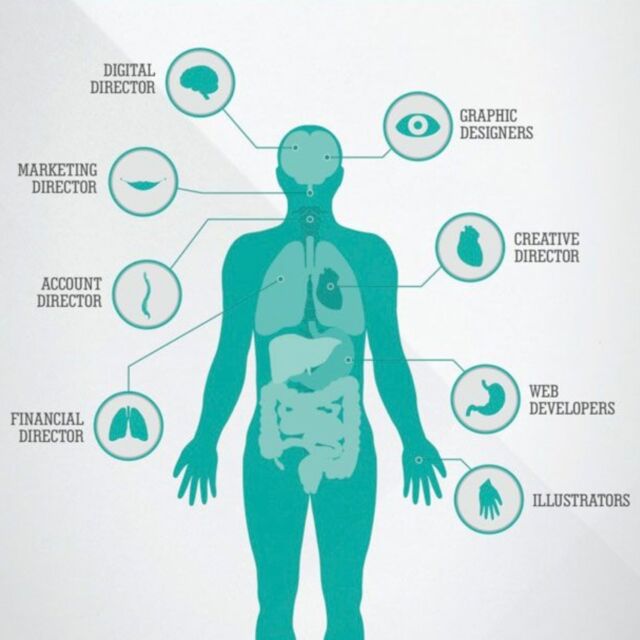 The Anatomy of a Digital Agency: a complex organism fueled by diverse talents.
π§ The brain, the digital director, orchestrates the strategy and technology.
π The eyes, the graphic designers, give shape to the visual identity.
ππΌ The ears, the copywriters, listen to the audience and craft compelling messages.
π The mouth, the marketing director, speaks for the client and coordinates the team.
π« The heart, the creatives, infuse soul and innovation into every project.
Together, we breathe life into ideas and make magic happen.
Designed by: Lono Creative