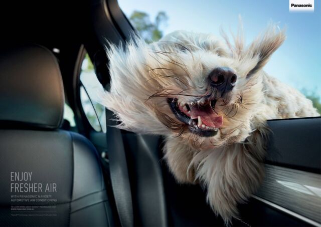 When the air is so good the dog sticks his head IN! 🐶🌬️🚗

We're always inspired by ads that push the boundaries and make people stop and take notice, like this clever ad by Saatchi & Saatchi. It's a great example of how creative advertising can capture attention and convey a product's benefits in a fun and relatable way. 

Whether it's through humor, emotion, or stunning visuals, effective advertising is about creating a memorable experience that resonates with your target market. 🚀